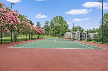 The greens at hollymead recreation court